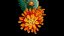 LEGO® Botanicals 10368 Chryzantema
