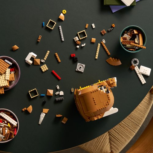 LEGO® Ideas 21376 Orangefarbene Katze