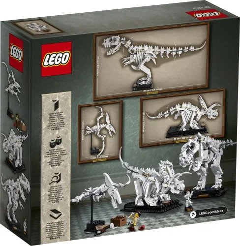 LEGO® Ideas 21320 Les fossiles de dinosaures