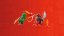 LEGO® Ninjago® 71828 Samochód wyścigowy Lloyda z napędem typu pull-back