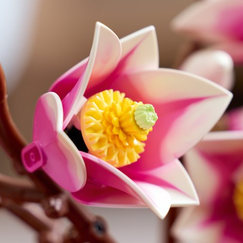 LEGO® Botanicals 11510 Ramos de Magnólia