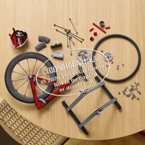 LEGO® Icons 11380 Rennrad