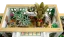 LEGO® Ideas 21353 Le jardin botanique