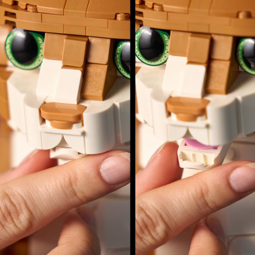 LEGO® Ideas 21376 Oranžová mačka