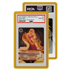 Standard Case (PSA) - Amber