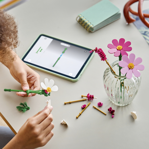 LEGO® Botanicals 11514 Kvety krasuľky