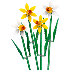 LEGO® 40747 Narcissen