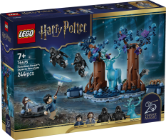 LEGO® Harry Potter TM 76475 Forbidden Forest™: Expecto Patronum