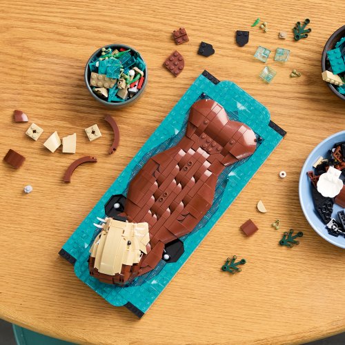 LEGO® Ideas 21366 Les loutres câlines