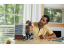 LEGO® Creator Expert 10255 Stadtleben
