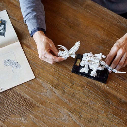 LEGO® Ideas 21320 Les fossiles de dinosaures