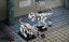 LEGO® Ideas 21320 Les fossiles de dinosaures