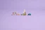 LEGO® Friends 42641 Surf- en scooterplezier met de honden