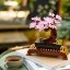 LEGO® Botanicals 10281 Drzewko bonsai