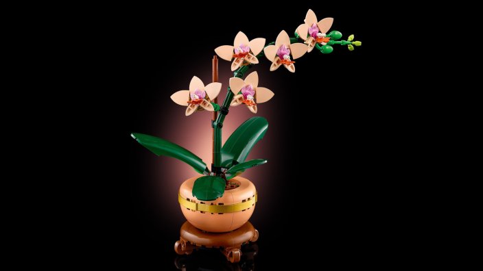 LEGO® Botanicals 10343 L’orchidée miniature