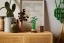 LEGO® Botanicals 10344 Bambù del buon auspicio