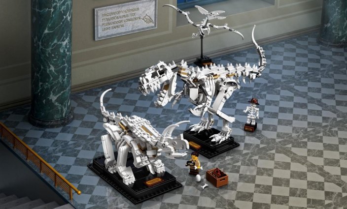 LEGO® Ideas 21320 Les fossiles de dinosaures