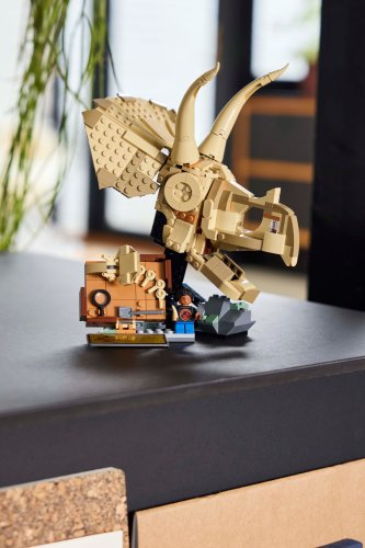 LEGO® Jurassic World™ 76969 Dinosaurier-Fossilien: Triceratops-Schädel