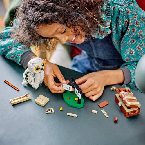 LEGO® Harry Potter™ 76425 Hedwig™ bij Ligusterlaan 4