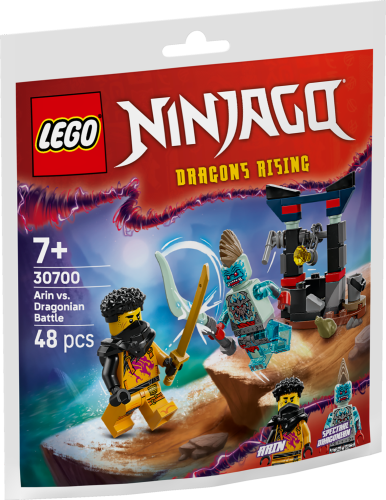 LEGO® Ninjago 30700 Arins Duell mit dem Drachenmenschen