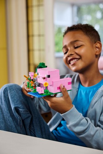 LEGO® Minecraft® 21268 Het huis van het biggetje