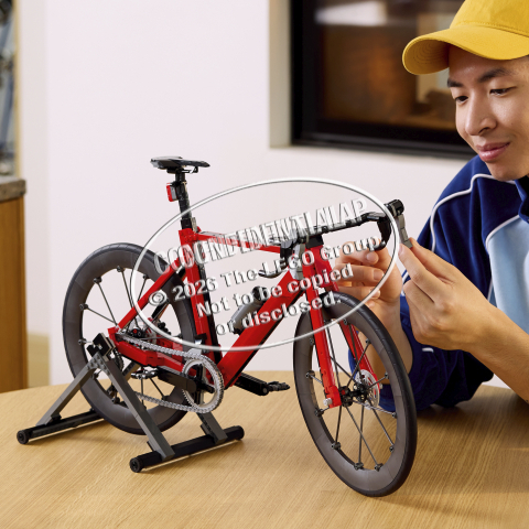 LEGO® Icons 11380 Rennrad