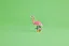 LEGO® Creator 3-in-1 31170 Animais Selvagens: Flamingo Cor-de-rosa