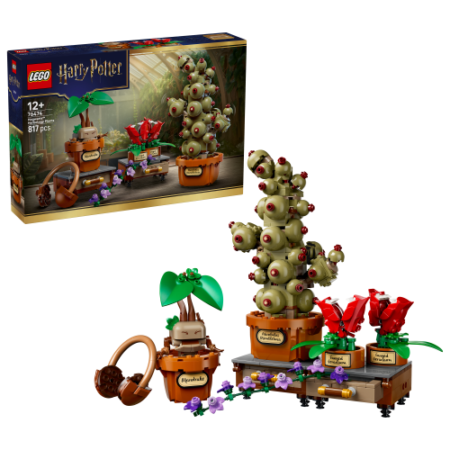 LEGO® Harry Potter TM 76474 Schloss Hogwarts™: Kräuterkunde-Pflanzen