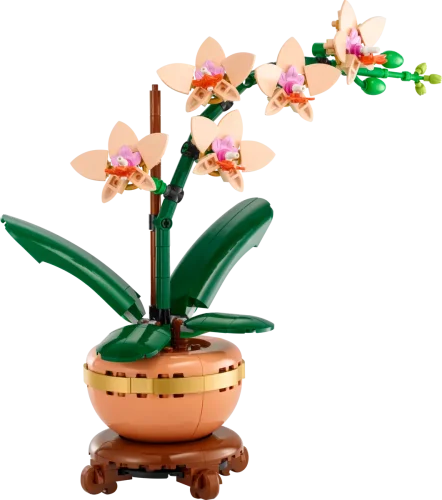 LEGO® Botanicals 10343 L’orchidée miniature
