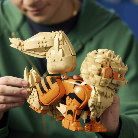 LEGO® Pokémon™ 72160 Arcanine