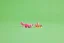 LEGO® Creator 3-in-1 31170 Animais Selvagens: Flamingo Cor-de-rosa
