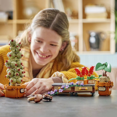 LEGO® Harry Potter TM 76474 Schloss Hogwarts™: Kräuterkunde-Pflanzen