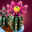 LEGO® Botanicals 11509 Blühender Kaktus