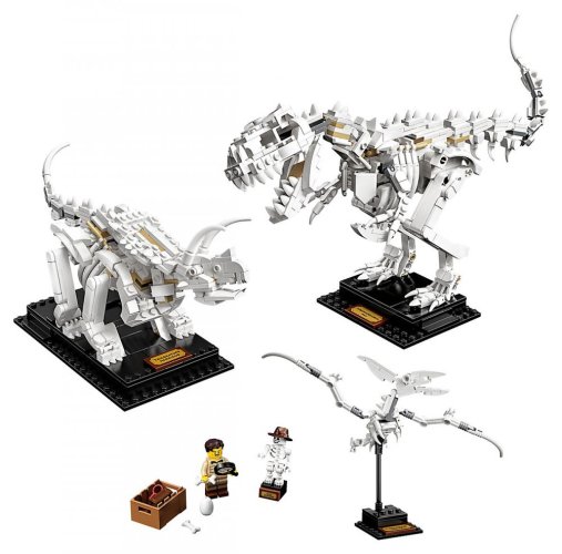 LEGO® Ideas 21320 Les fossiles de dinosaures