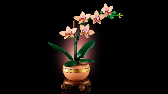 LEGO® Botanicals 10343 L’orchidée miniature