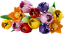 LEGO® Botanicals 11501 Buquê de Tulipas
