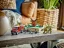 LEGO® Jurassic World™ 76965 Dinosaurier-Missionen: Entdeckung des Stegosaurus