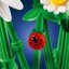 LEGO® Botanicals 11508 Marguerites