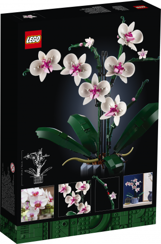 LEGO® Botanicals 10311 Orchidea