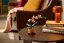 LEGO® Botanicals 10343 L’orchidée miniature