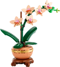 LEGO® Botanicals 10343 Miniaturní orchidej