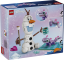 LEGO® Disney TM 43287 Divertido Picnic de Olaf y Bruni