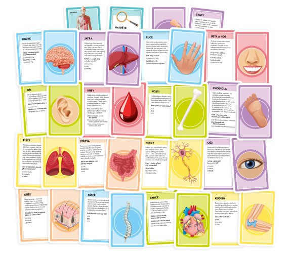 Pojďme se učit: Naše úžasné tělo