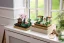 LEGO® Icons 10359 Jardim com Fonte