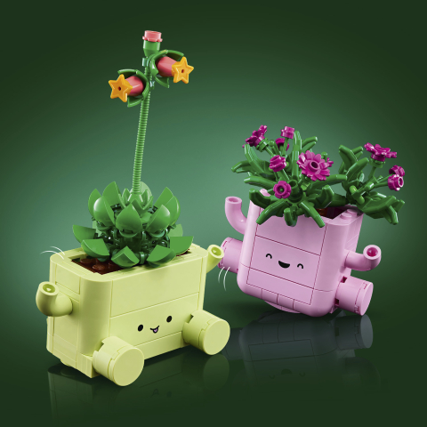 LEGO® Botanicals 11506 Hintázó növények