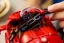 LEGO® Technic™ 42202 Mota Ducati Panigale V4 S