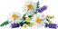 LEGO® Botanicals 11508 Marguerites